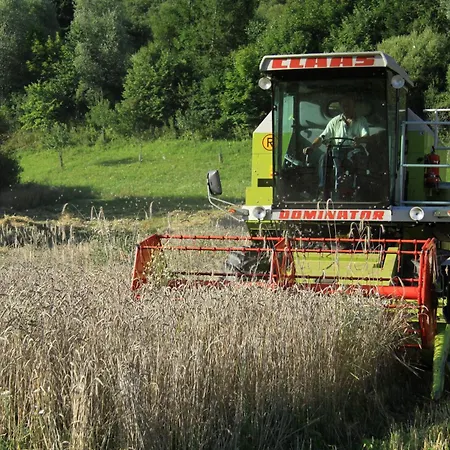 Biohof Sauschneider Daire