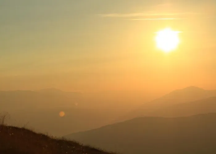 Daire Biohof Sauschneider