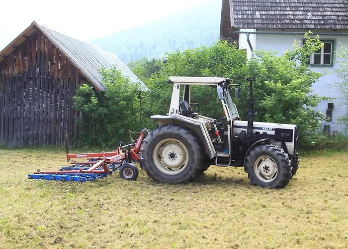 Daire Biohof Sauschneider