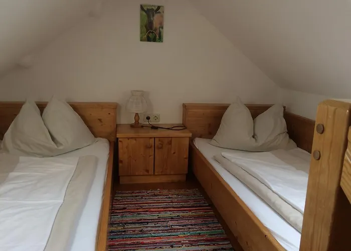 Daire Biohof Sauschneider *